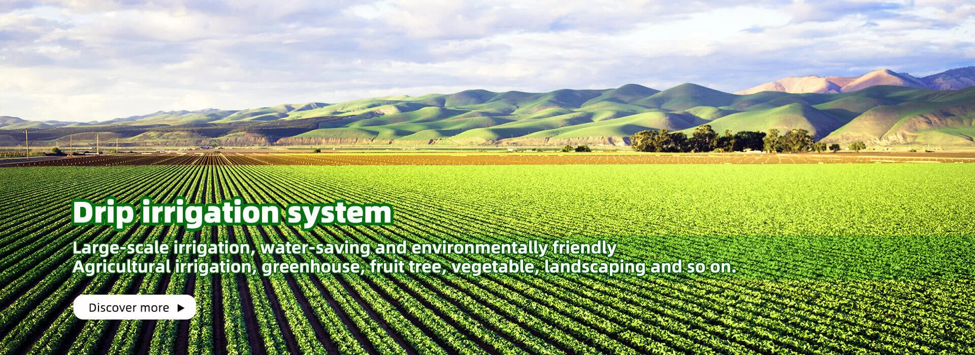 Drip irrigation system